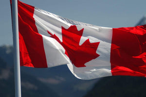 Celebrate Canadian Creativity